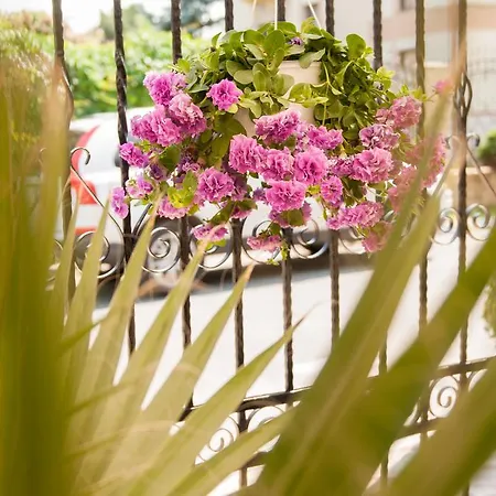 Pensiunea Ingrid Ефоріє-Норд