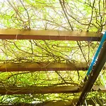 Pensiune Pensiunea Ingrid 4*