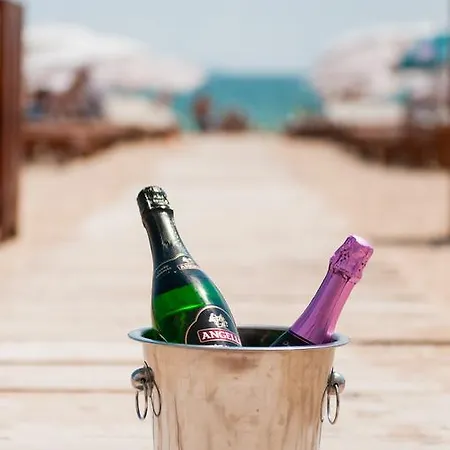 بيت ضيافة Pensiunea Ingrid 4*