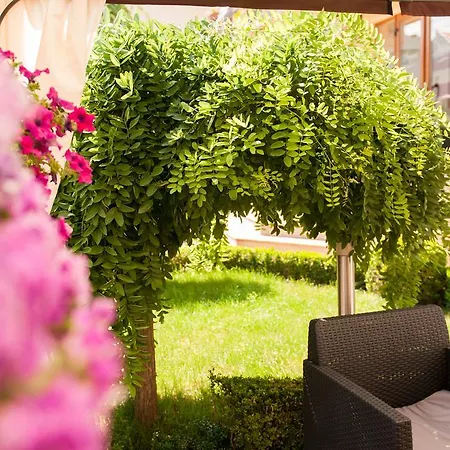 بيت ضيافة Pensiunea Ingrid