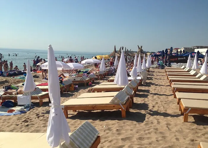 ゲストハウス Pensiunea Ingrid エフォリエ・ノルド