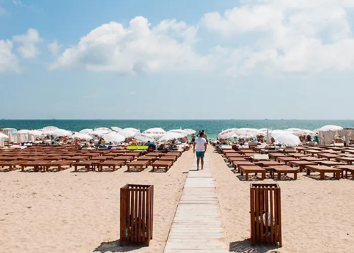 ゲストハウス Pensiunea Ingrid