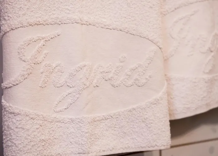 ゲストハウス Pensiunea Ingrid