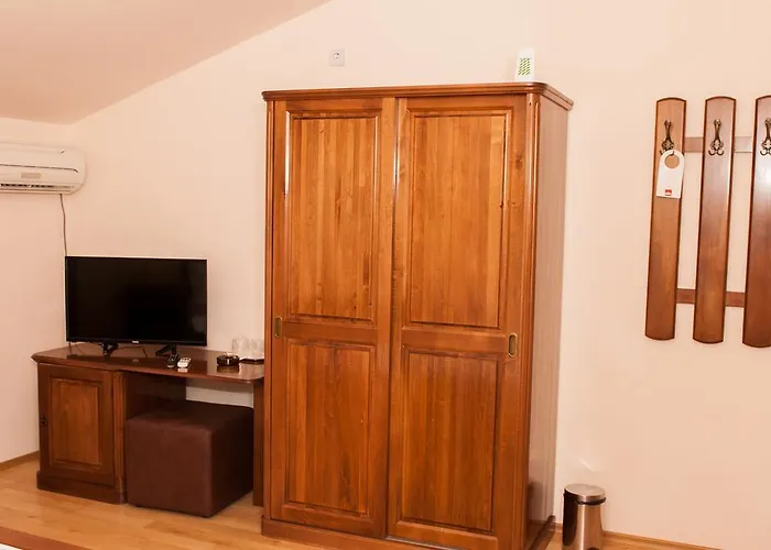 ゲストハウス Pensiunea Ingrid エフォリエ・ノルド