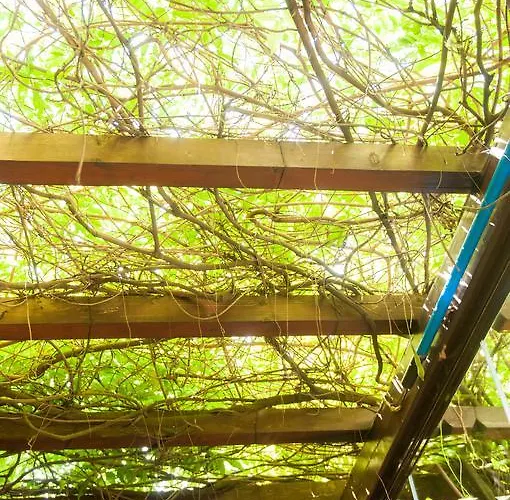 Affittacamere Pensiunea Ingrid 4*