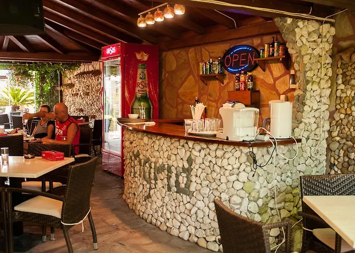 ゲストハウス Pensiunea Ingrid エフォリエ・ノルド