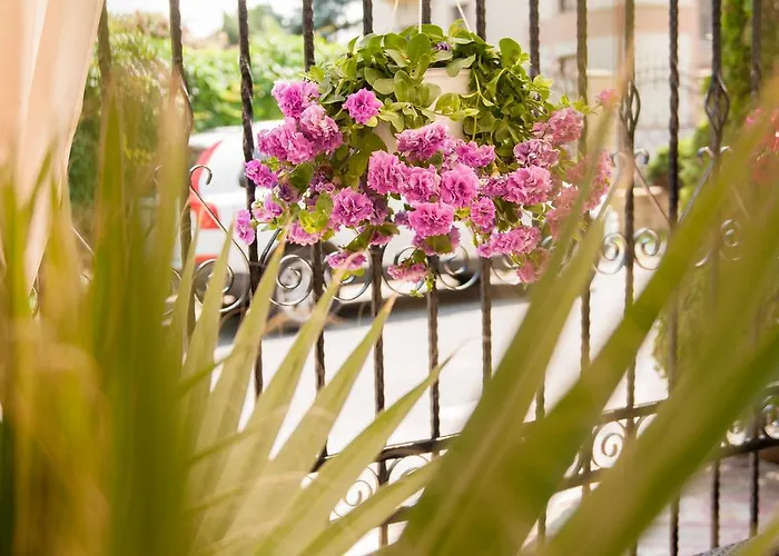 Pensiunea Ingrid エフォリエ・ノルド