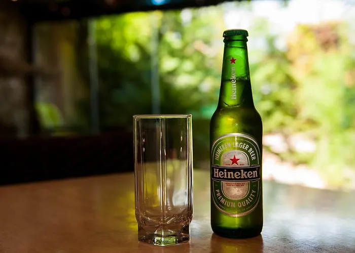 ゲストハウス Pensiunea Ingrid 4*